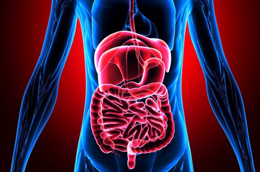 Can Probiotics Survive Stomach Acid and The GI Tract?